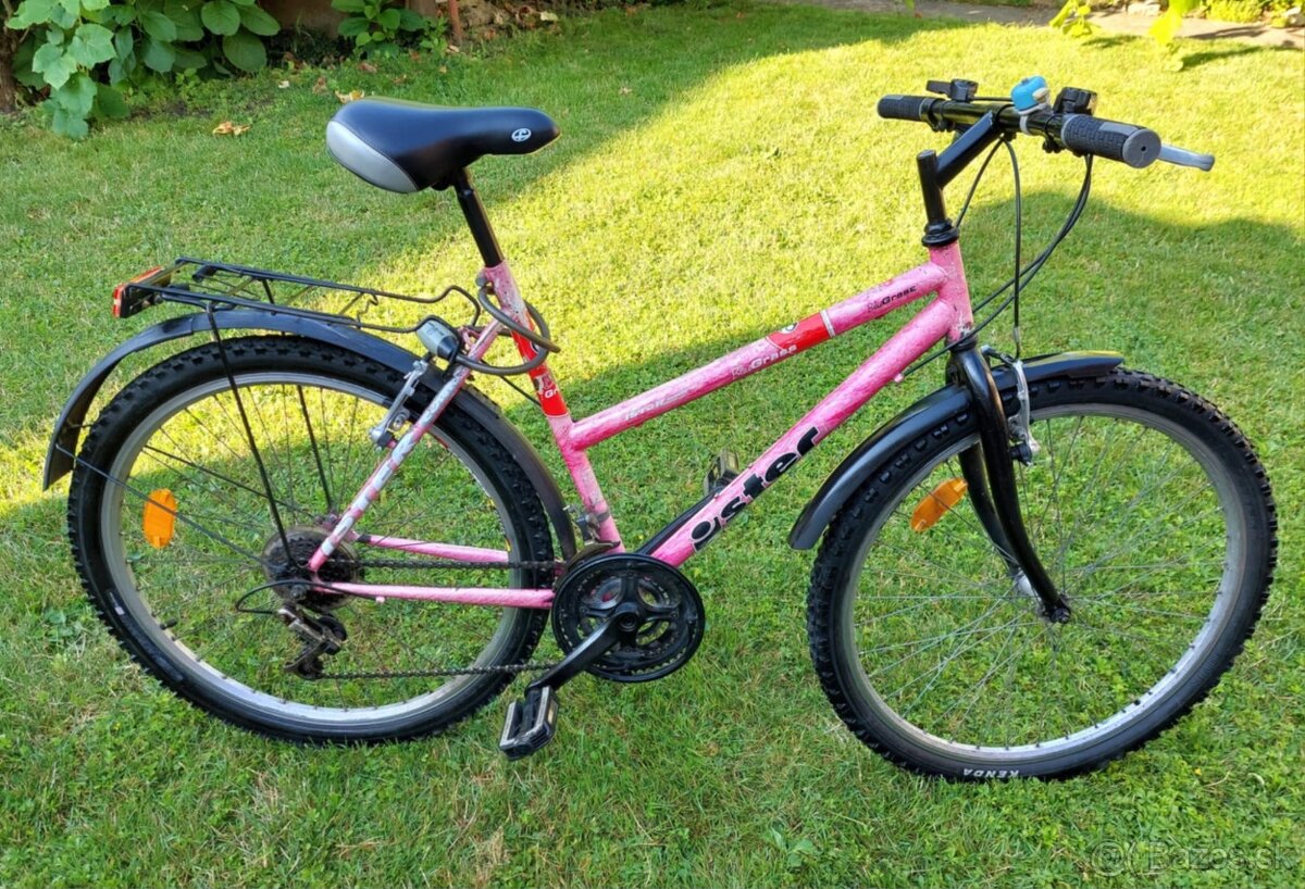 Dámsky horský bicykel Ister