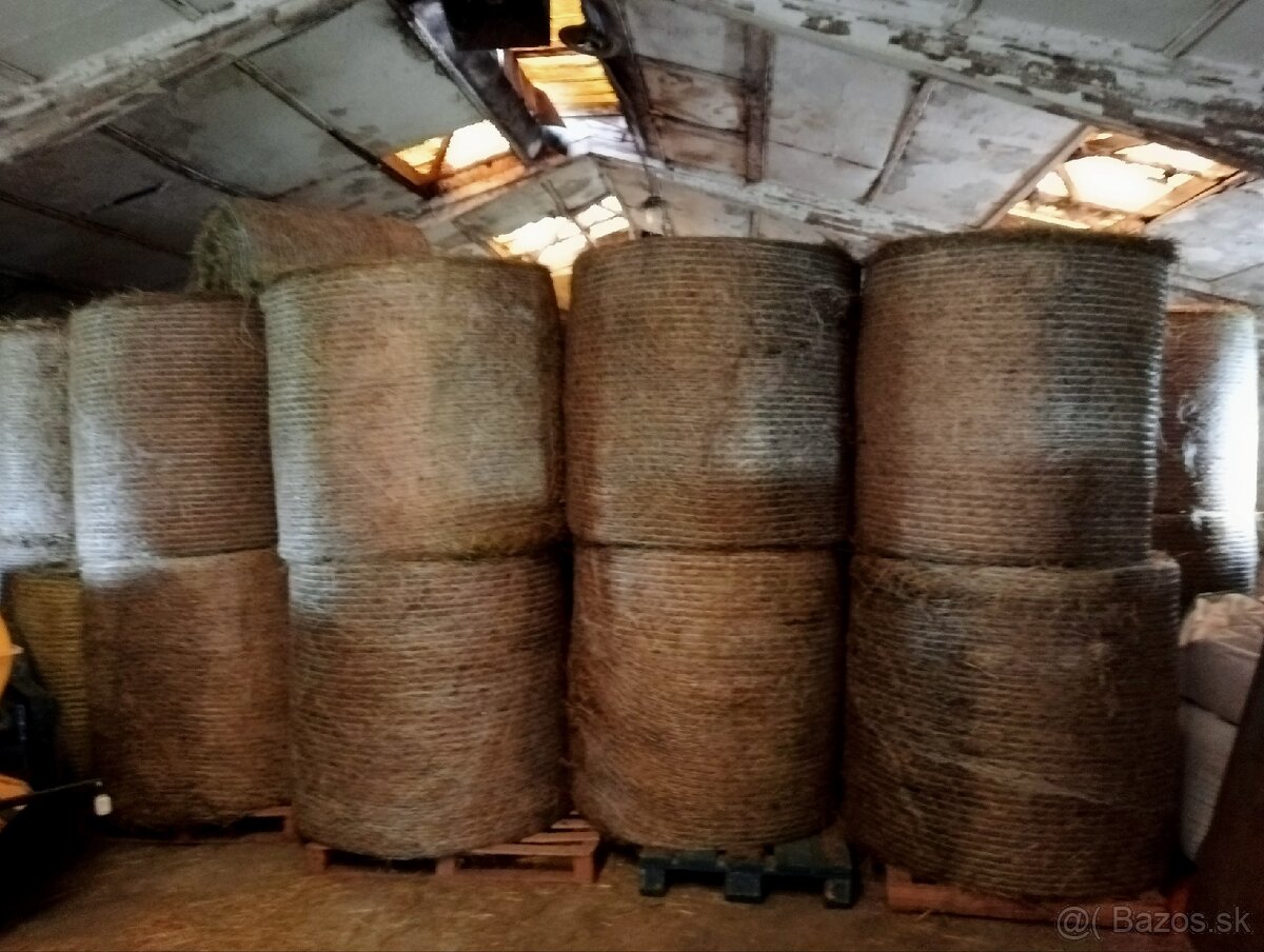 Baliki sena