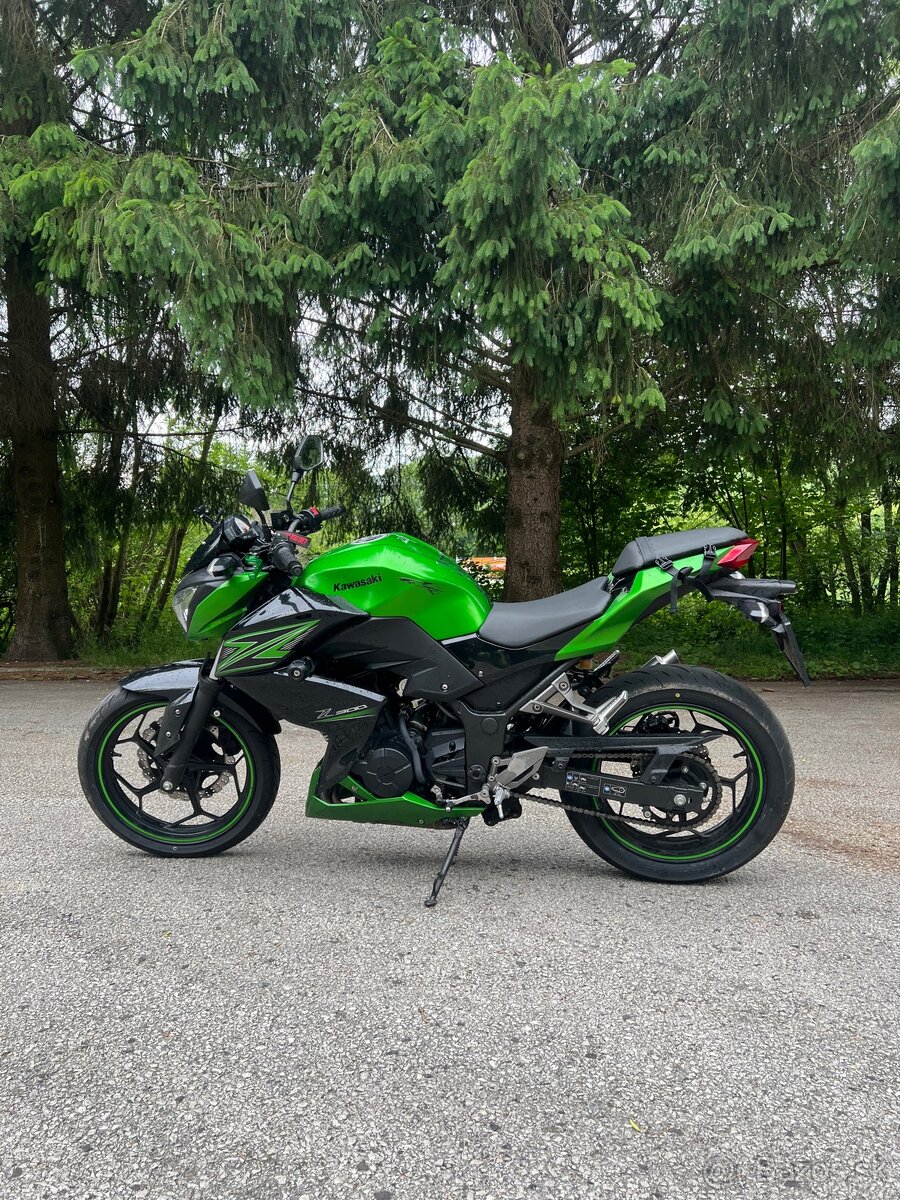Kawasaki z300