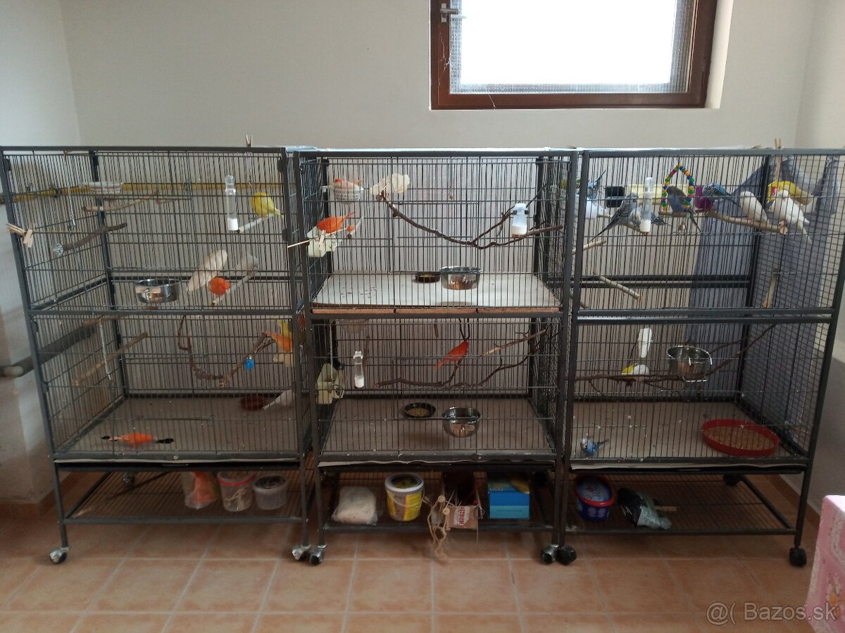 Predám klietku.