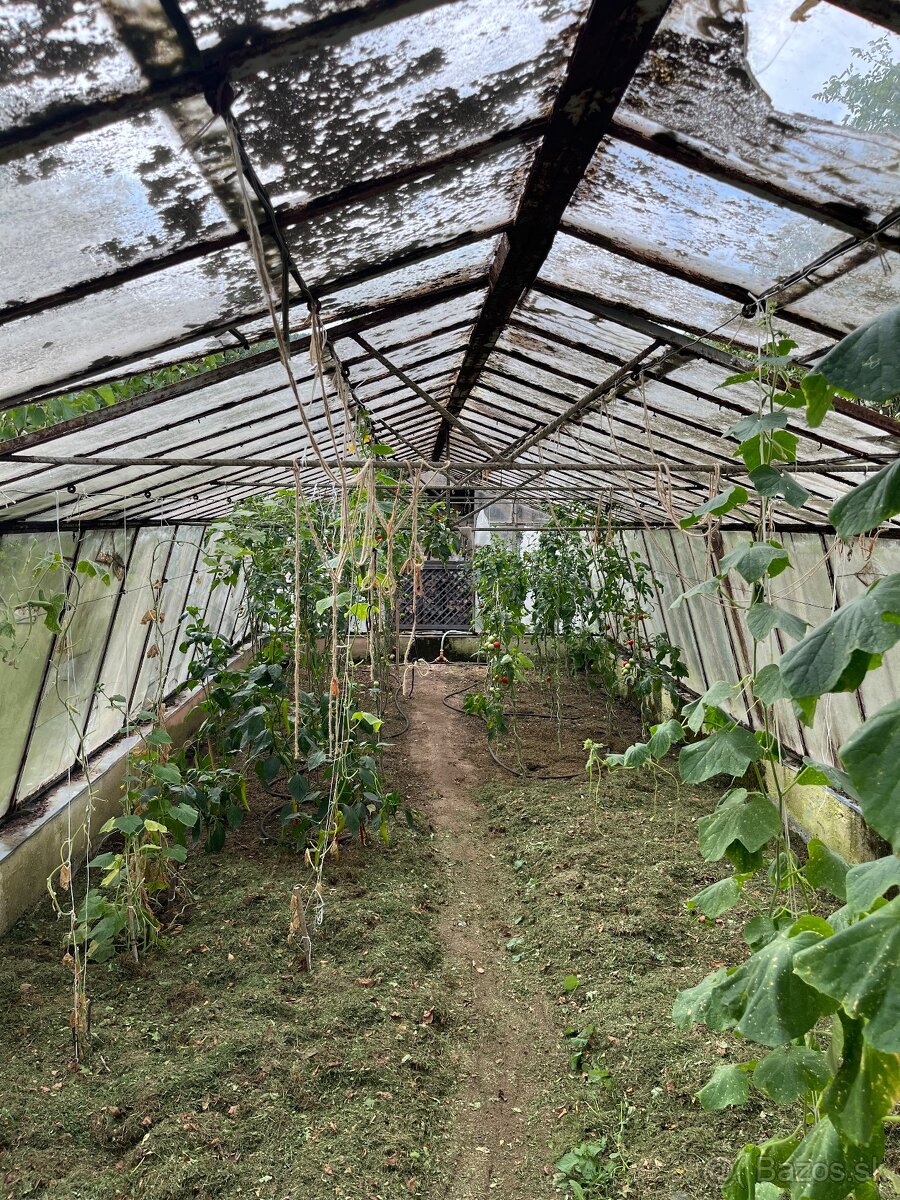 Predám skleník 11x4x2 bm.