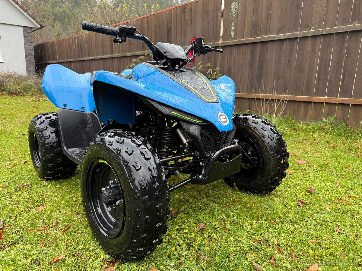 Cf moto gladiator 110