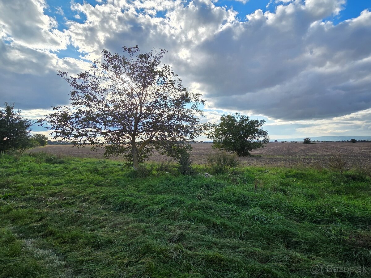 Pozemky v obci Tureň