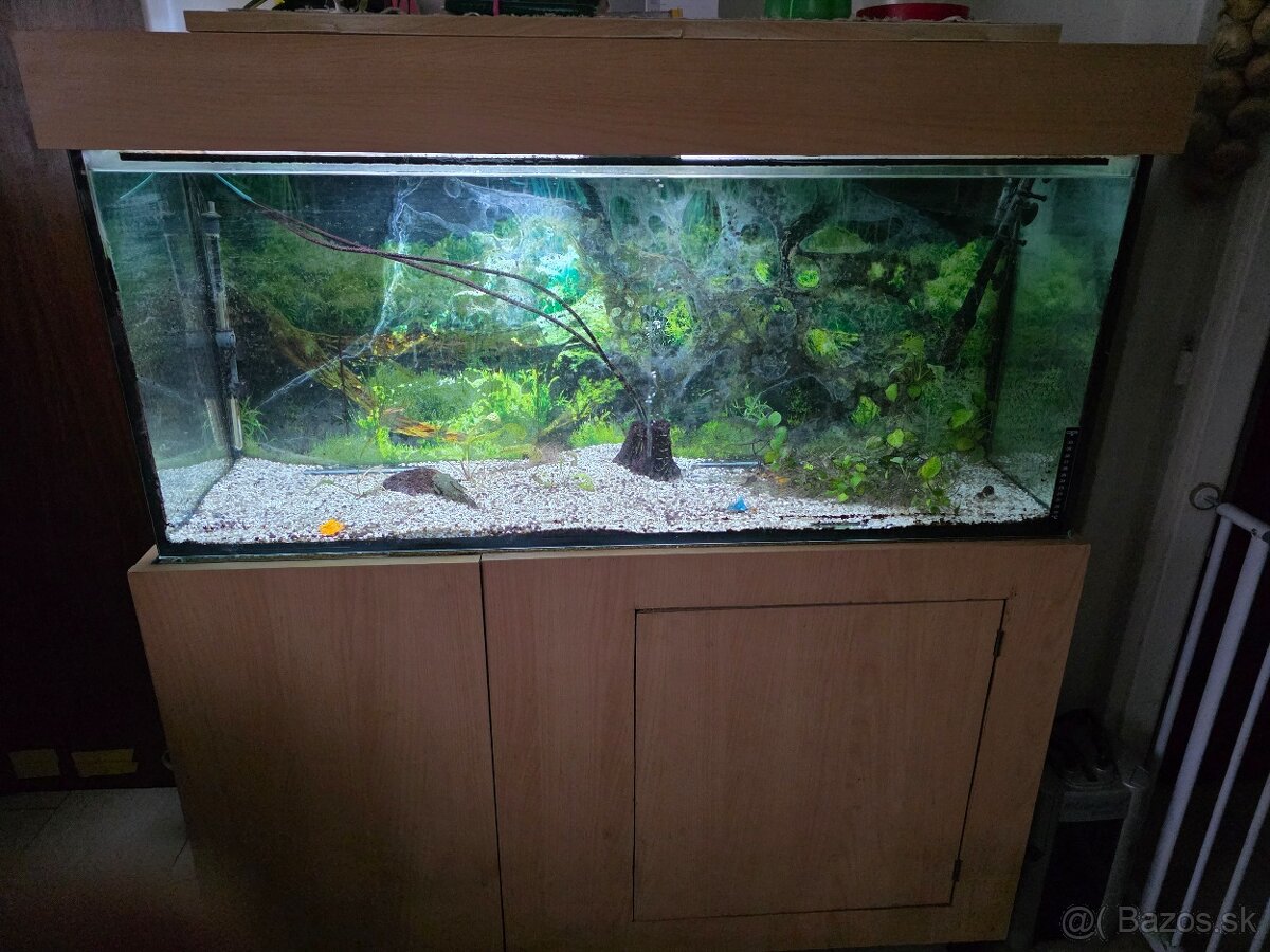Predám akváriový komplet