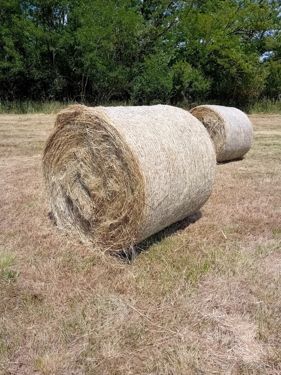 Balikovane seno