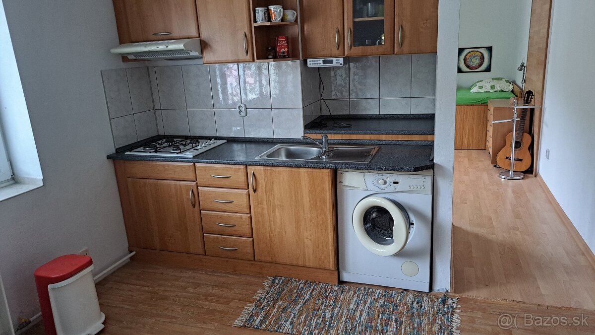 Jednoizbový byt v Hodruši Hámroch - znížená cena