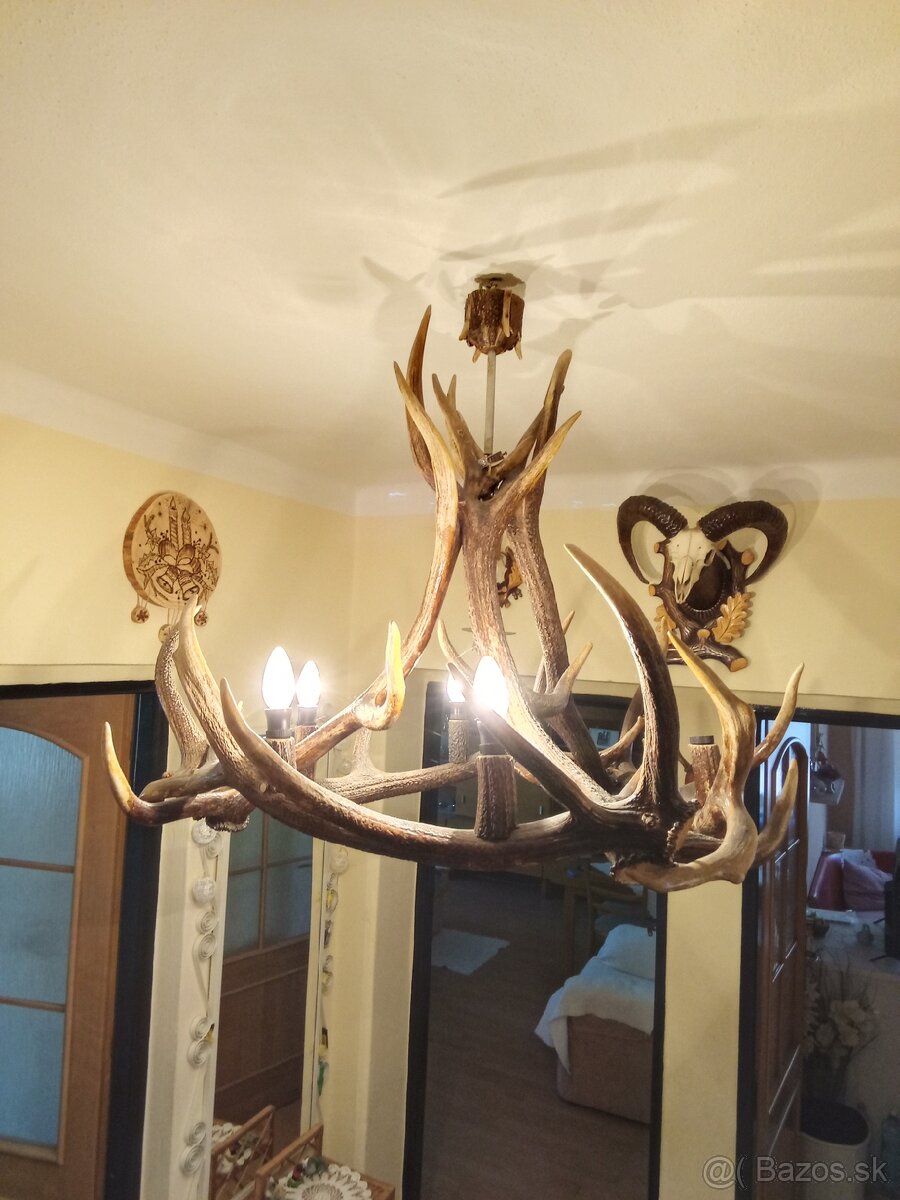 Predám luster z parožia + všetky trofeje, obrazy
