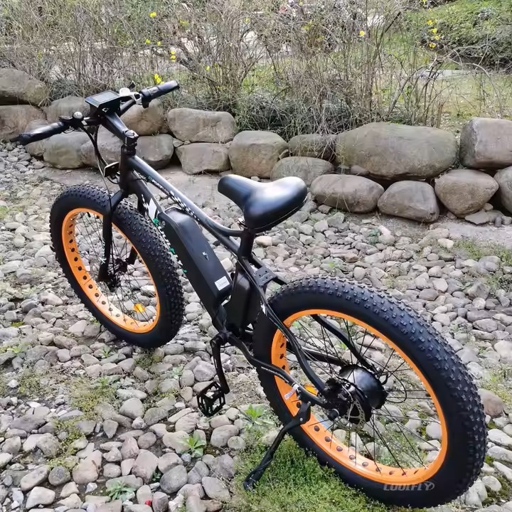 Skladací elektro bicykel – 250 W, 48 V (10 Ah/13 Ah),