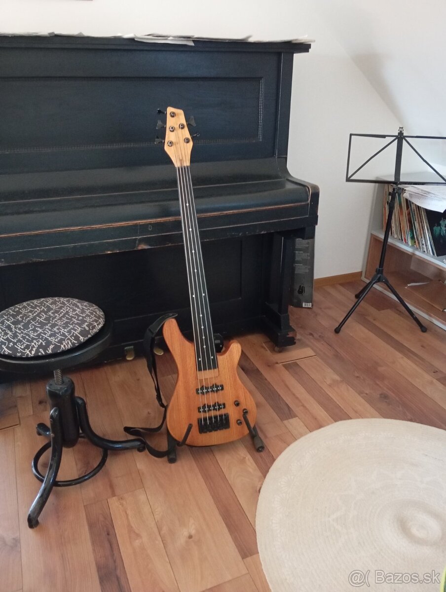 Basgitara - 5 strunova
