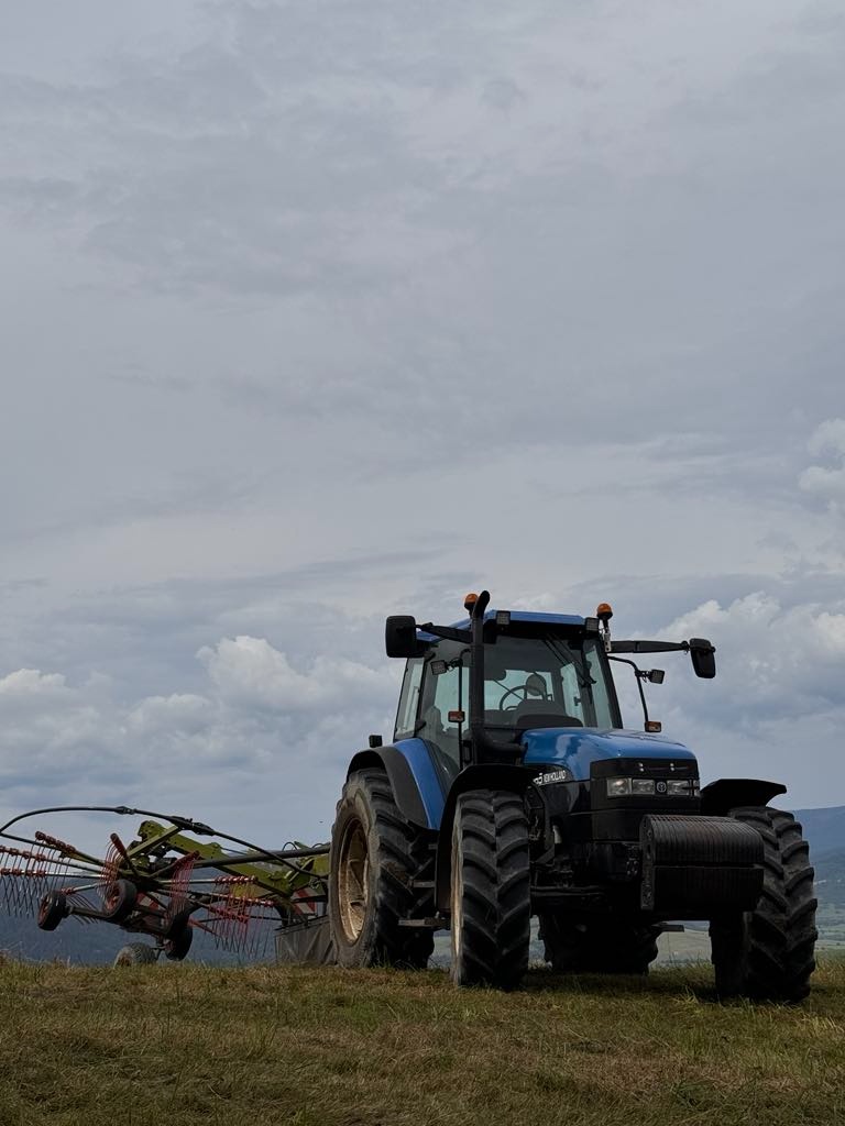 New Holland TM 165