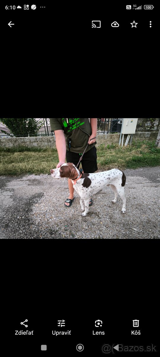 Pointer