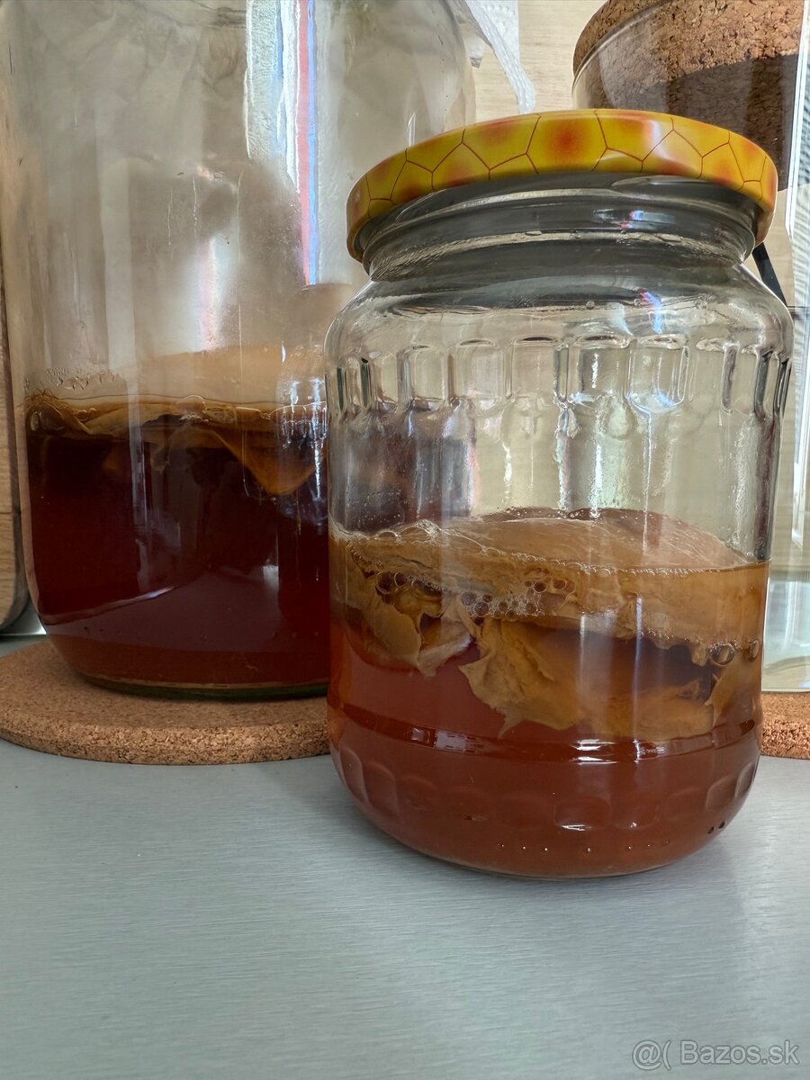 Kombucha