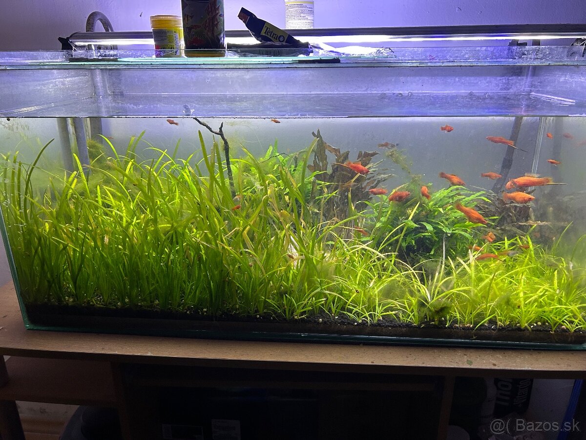 Predám akvárium 150L s komplet vybavením
