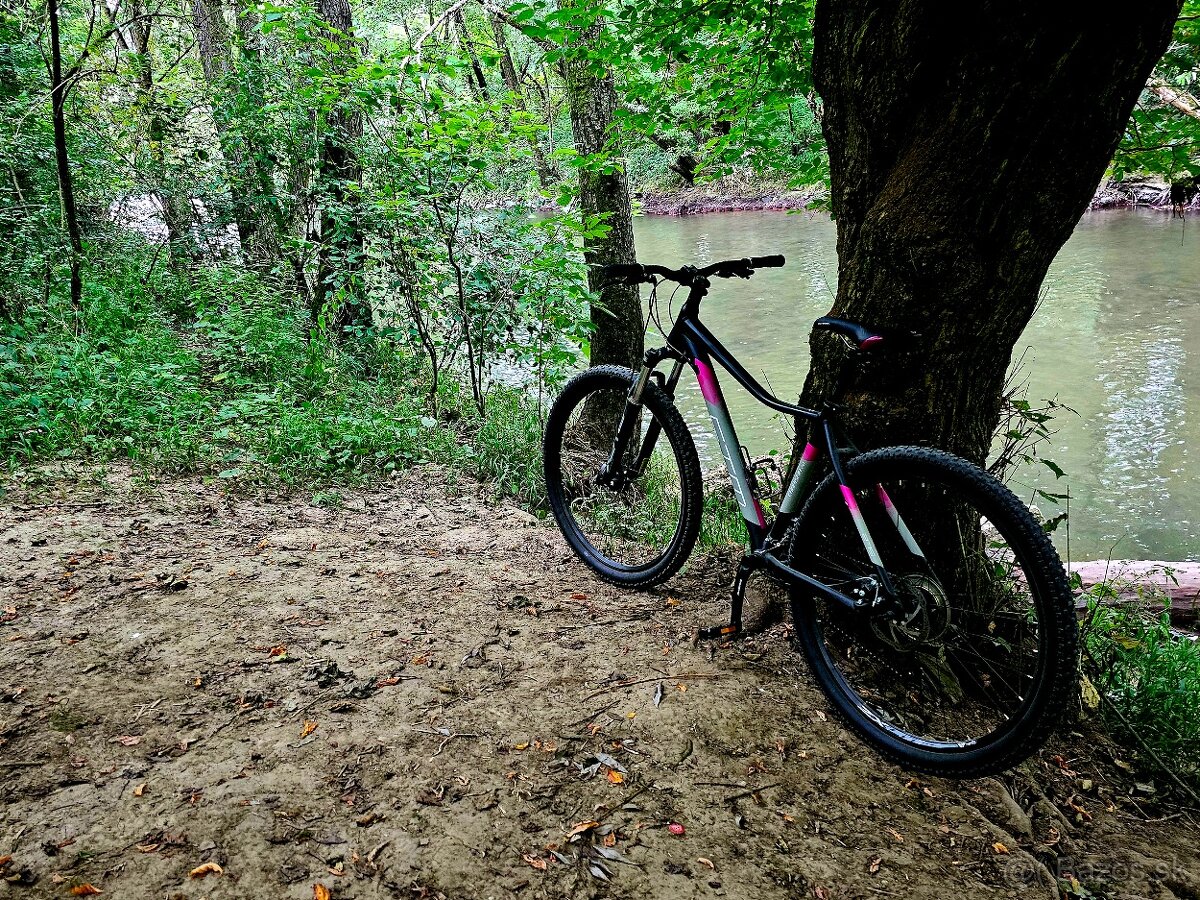 CTM Charisma 2.0 2022