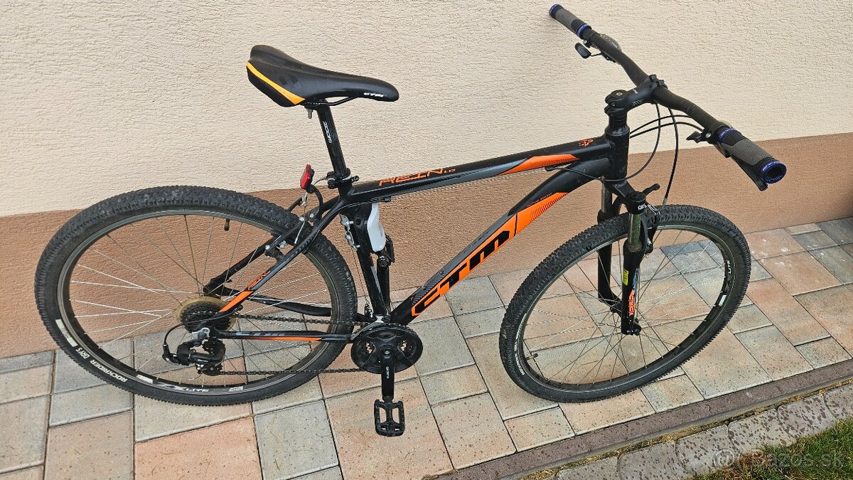 CTM Rein 29"