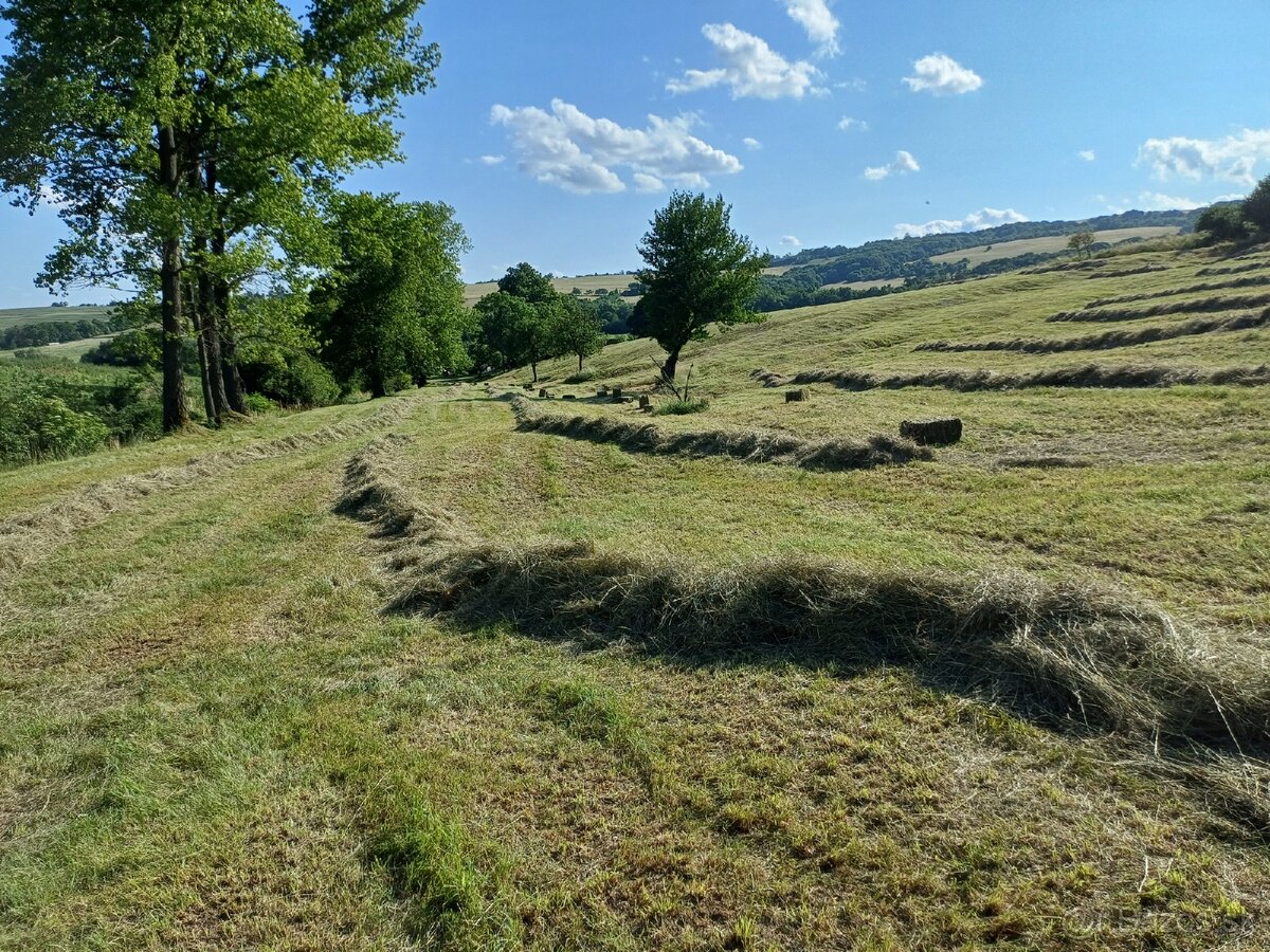 Predám balíky sena
