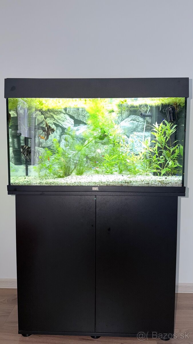 Akvárium Juwel Rio 125l