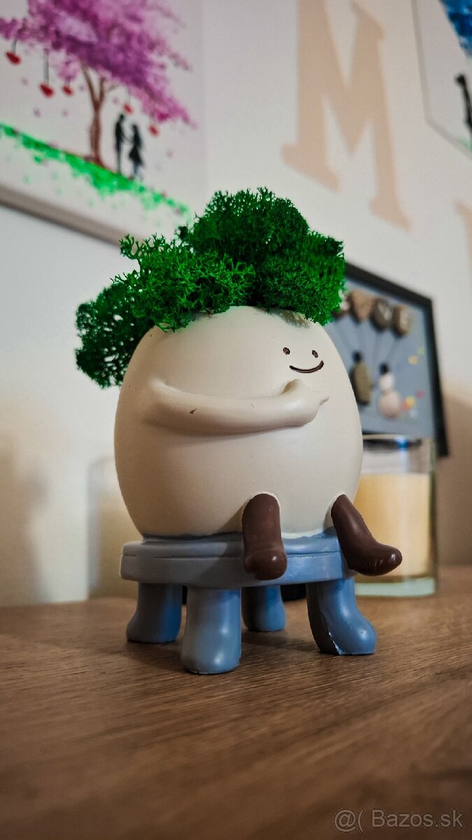 Machový kvet