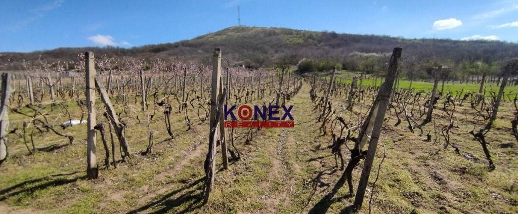 NA PREDAJ – Vinica – Malý Kamenec