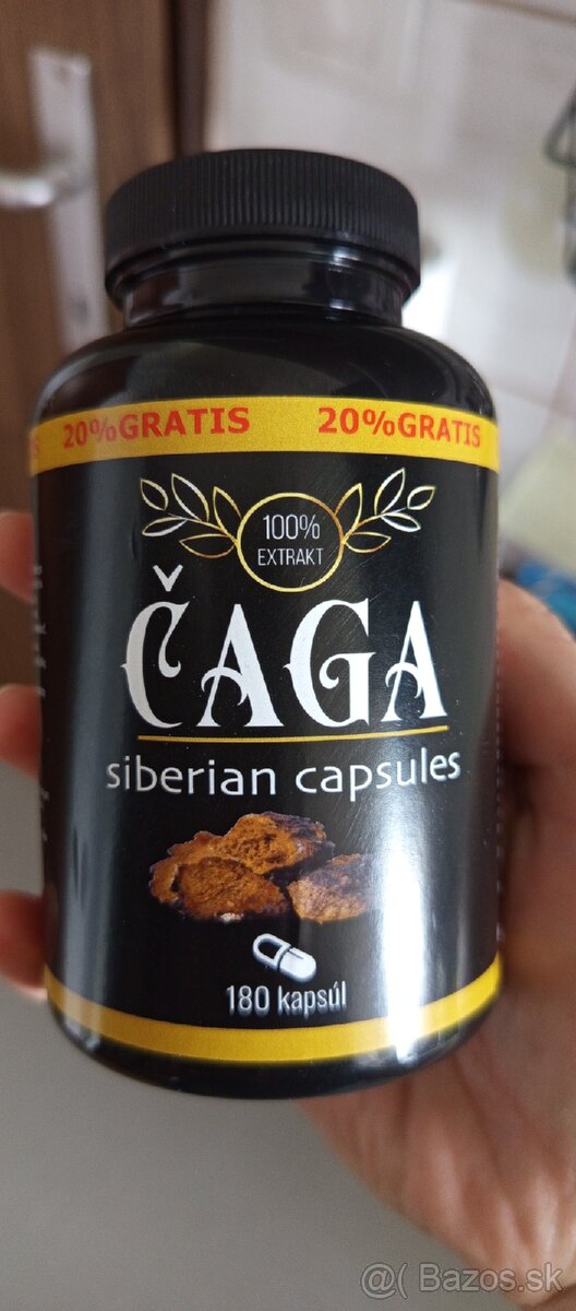 Čaga Sibírska