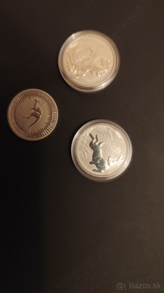 Investičná platina