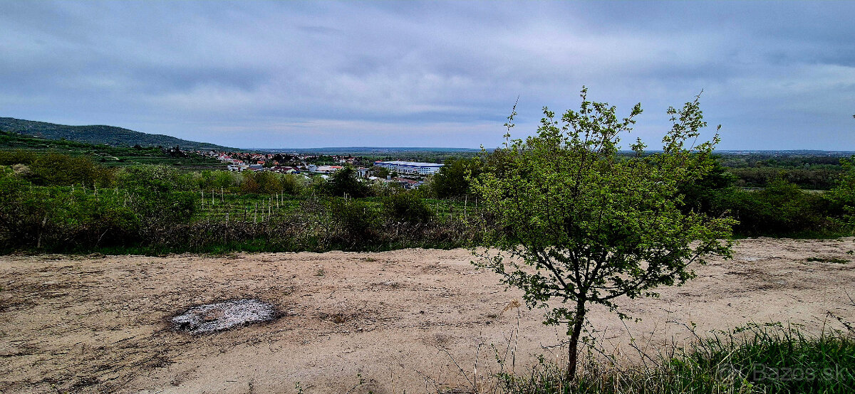 Predám pozemok 2500m2, Svätý Jur, 8km od BA