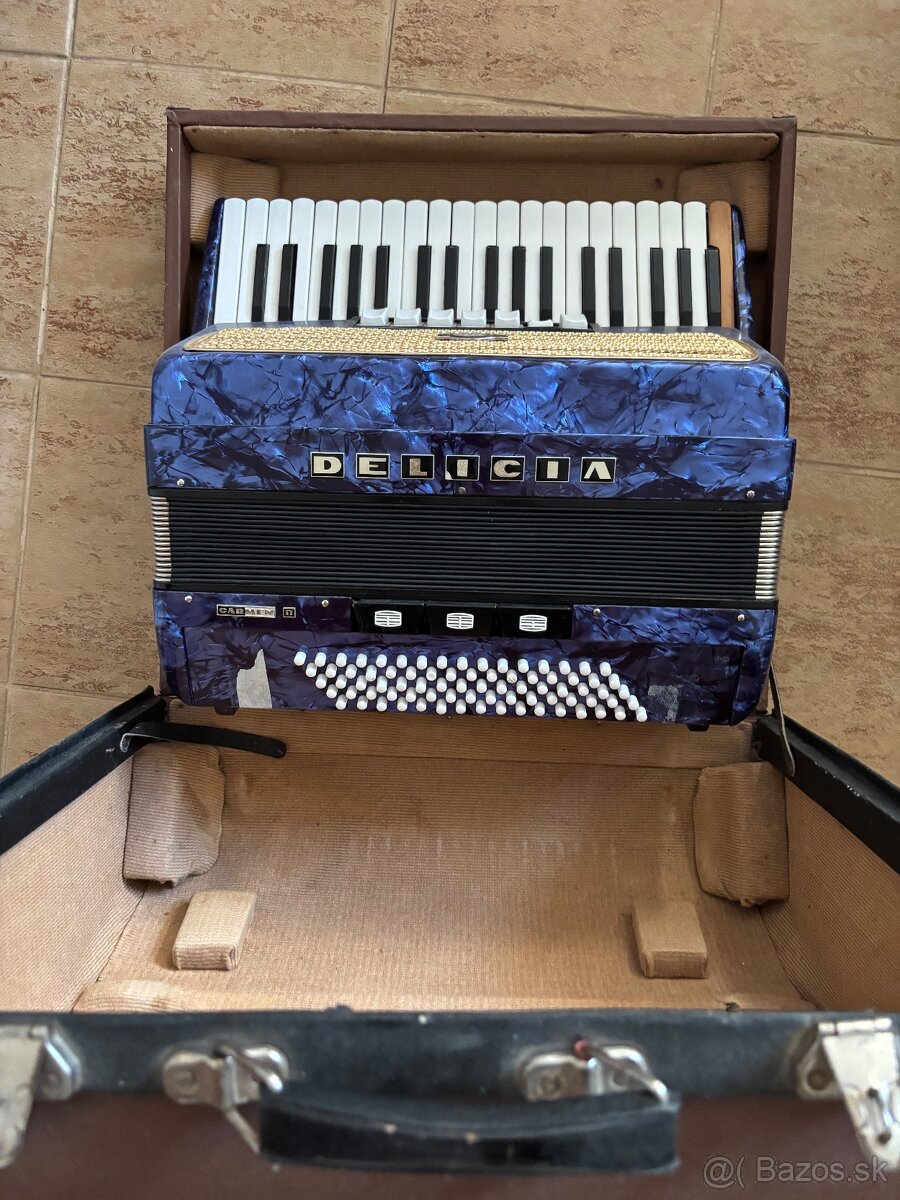 Harmonika/Akordeon