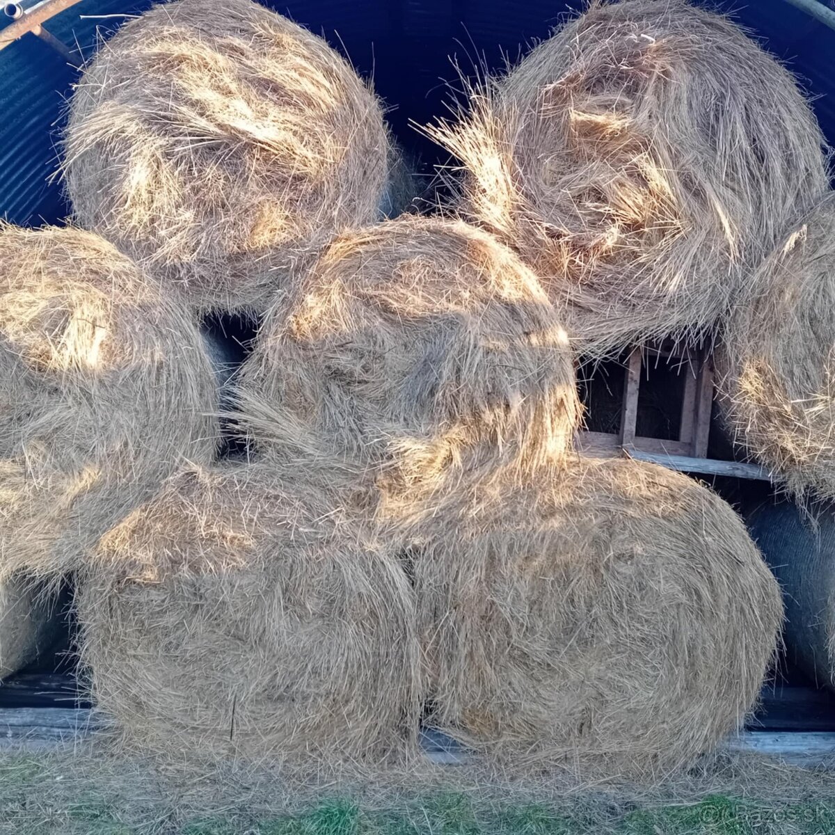 Veľké baliky sena
