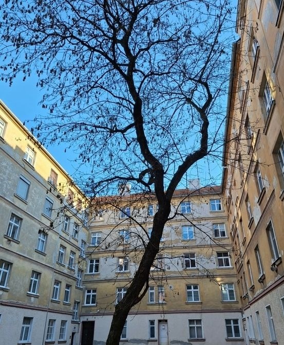 Realitná kancelária Realadr s.r.o.