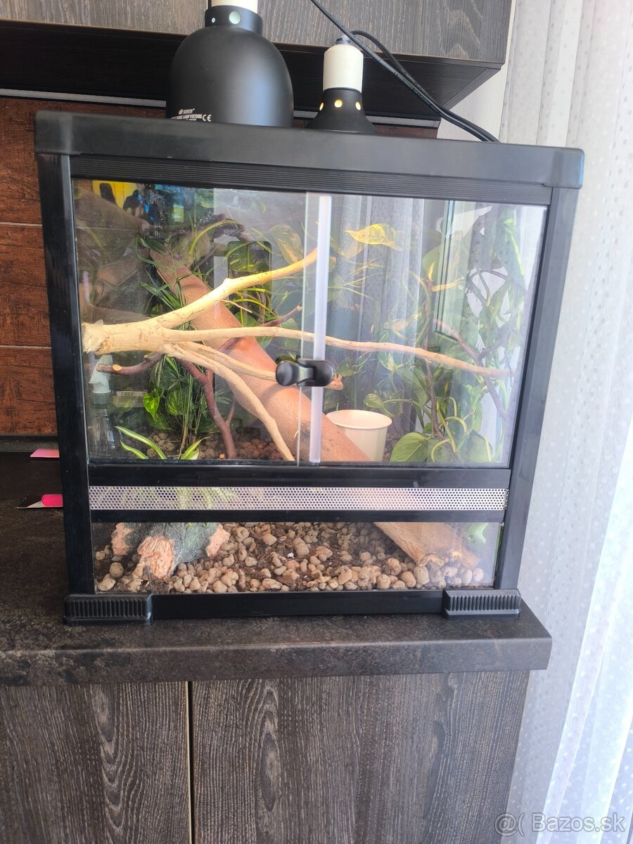 Terarium 46x46x46