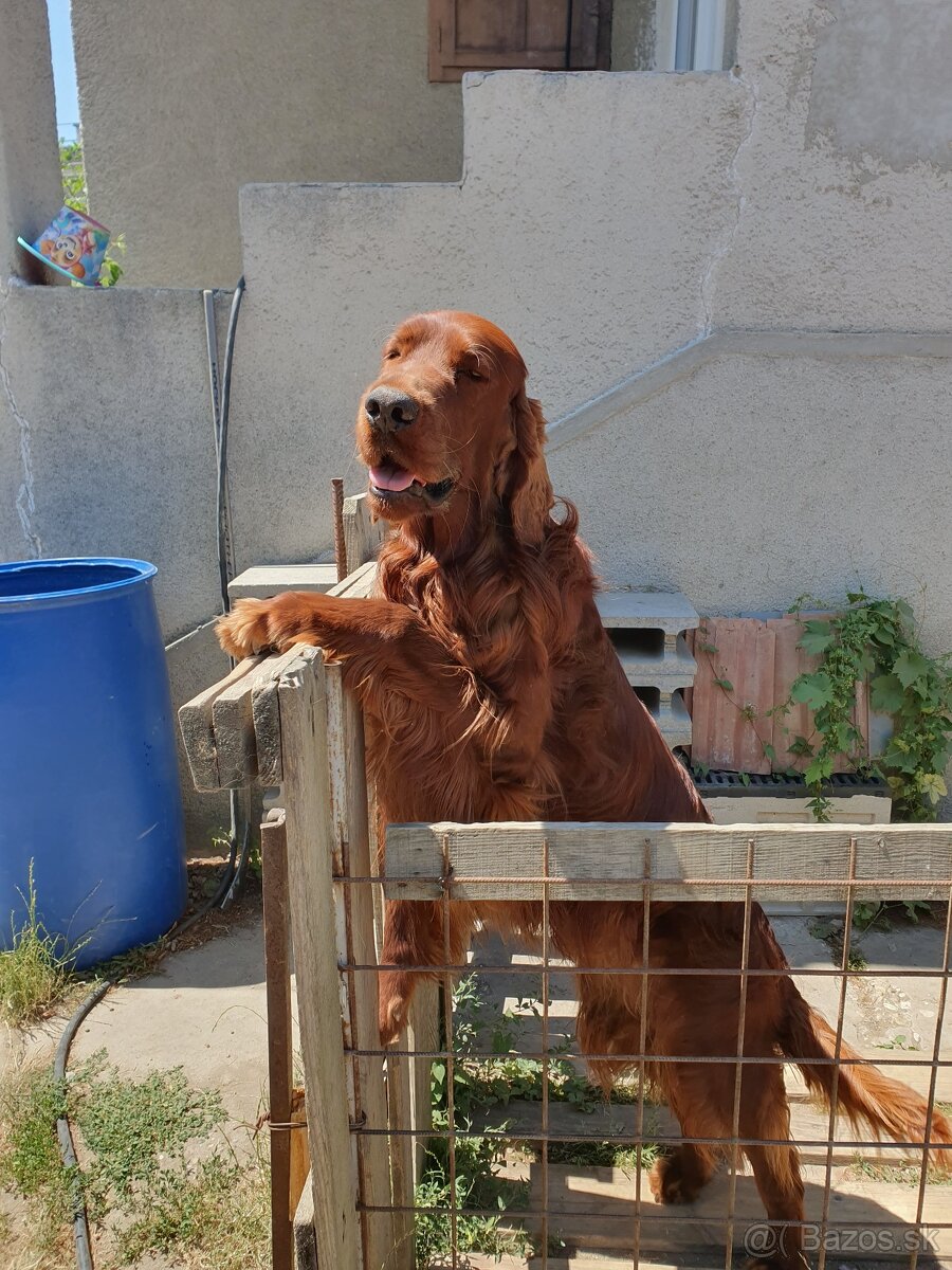 Charlie
