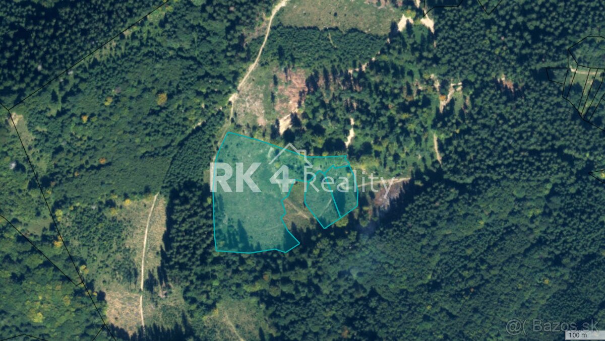 RK4 - NA PREDAJ - Lesný pozemok v celku - Kolárovice
