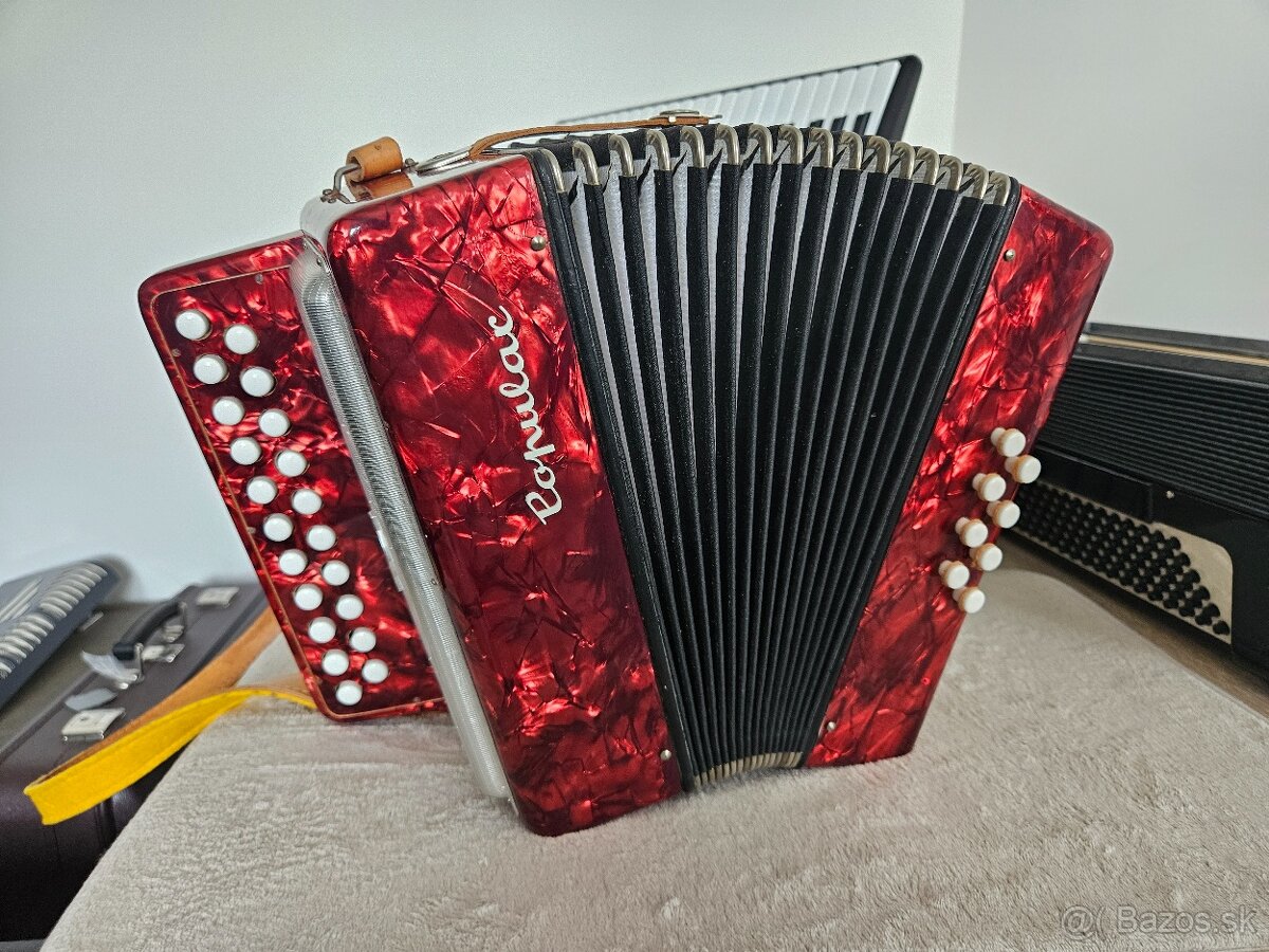 Harmonika heligonka delicia popular CF