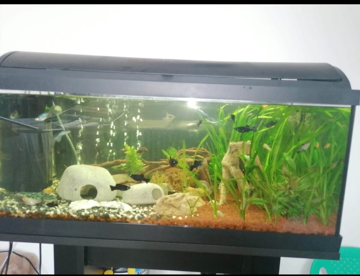 Akvarium 98l SET