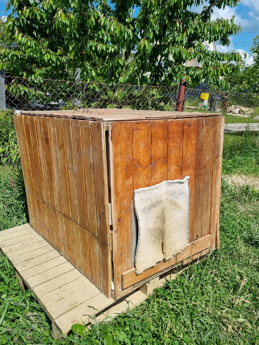 Buda pre vacsieho psa