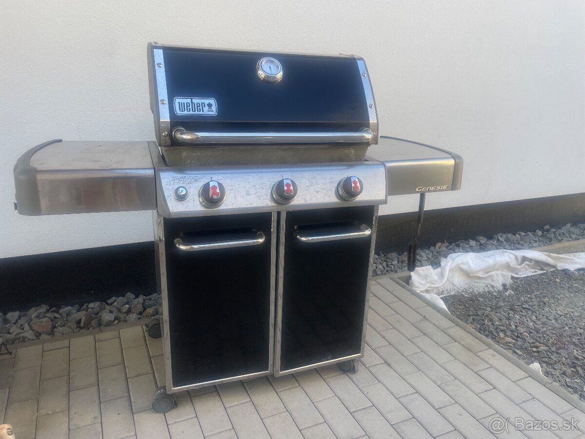 Grill webber genesis
