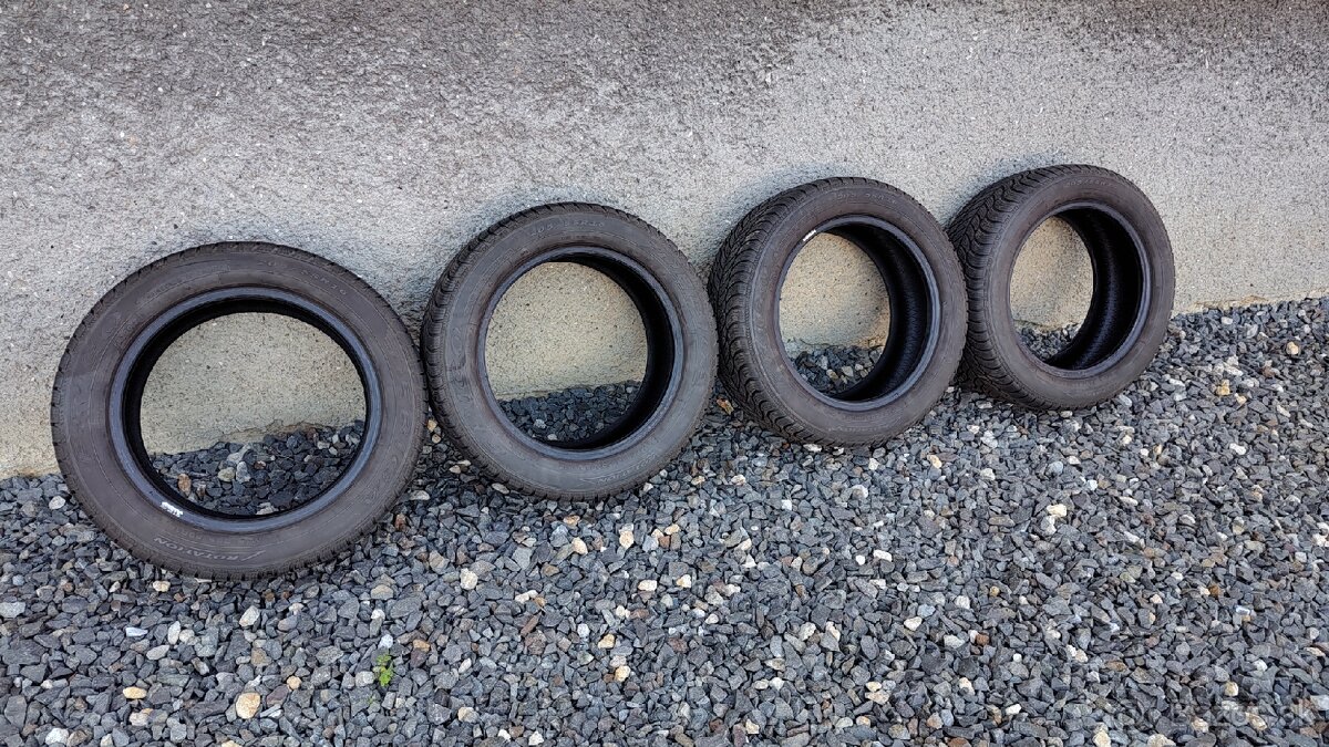 Zimne pneumatiky 205/55 R16 91T Debica Frigo 2