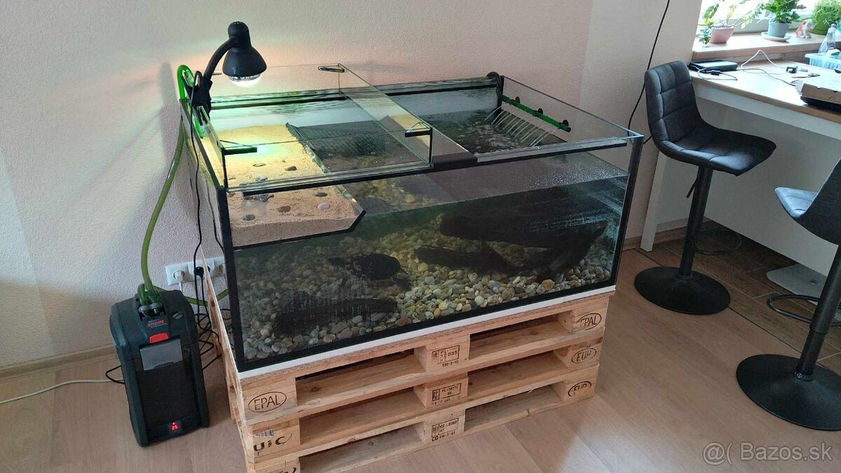 PREDAM VELKE AKVARIUM PRE VODNU KORYTNACKU