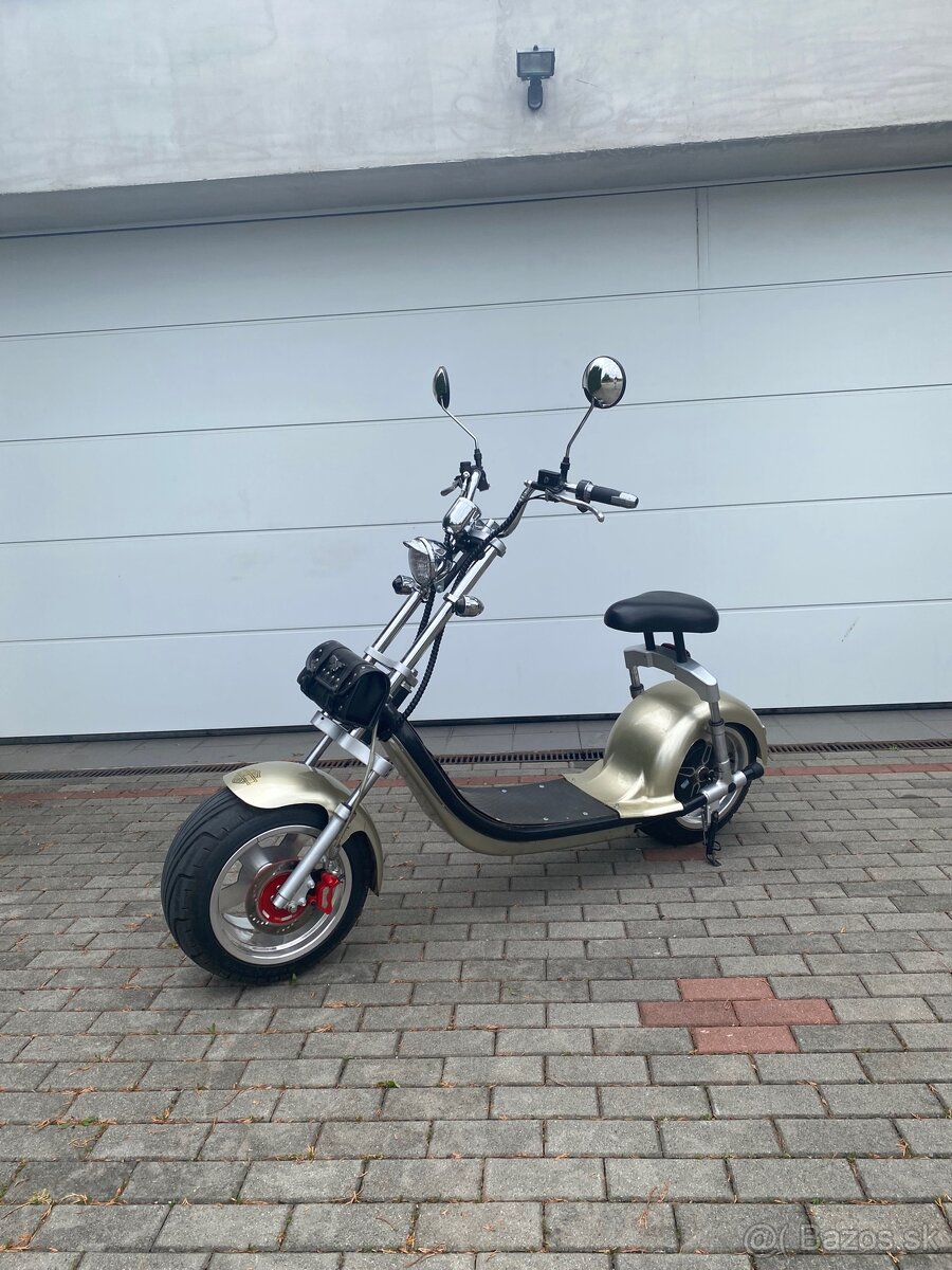 Electric Harley
