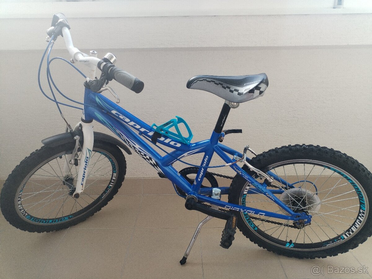 Bicykel 20