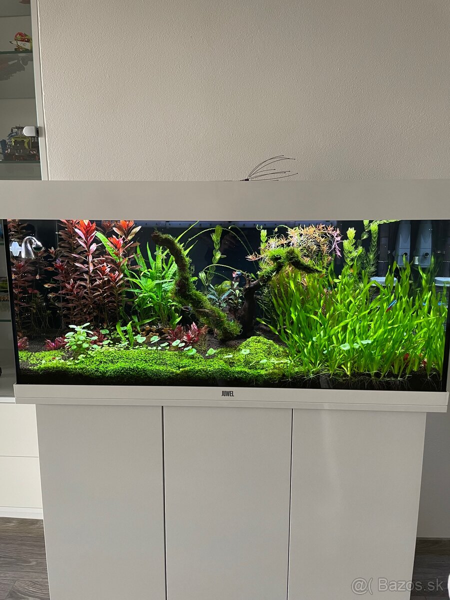 Juwel Rio 180