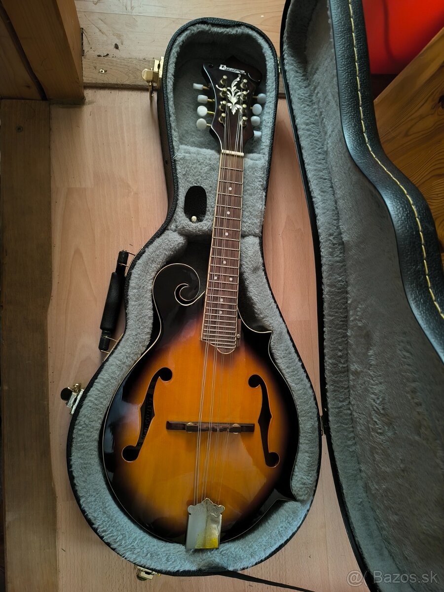 gitara