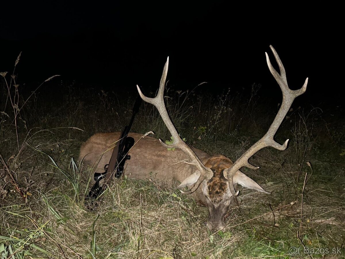 Celoročný lov- polovačka