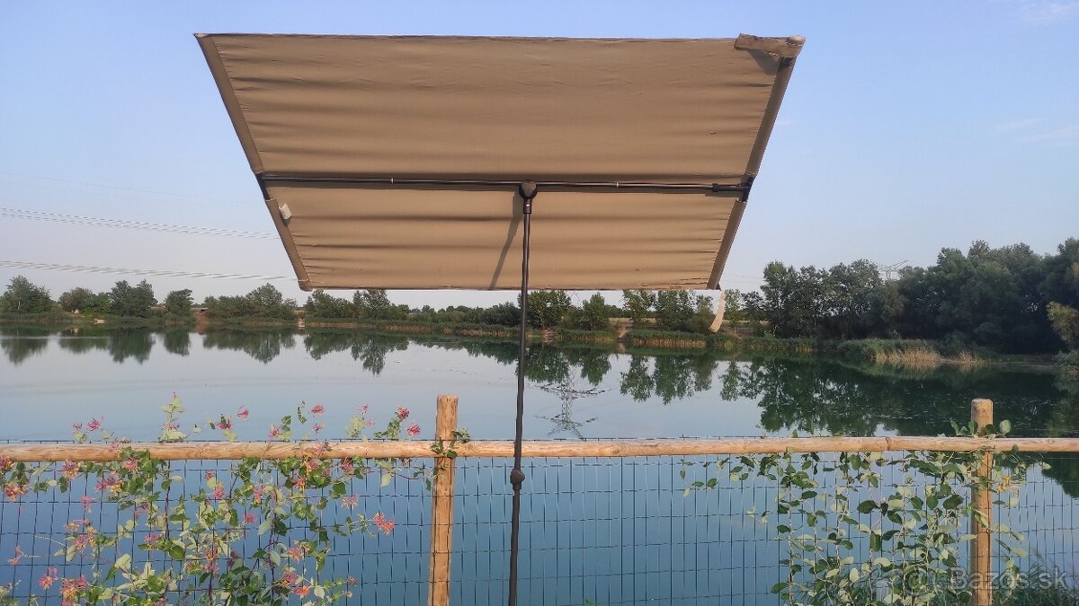 Slnečník