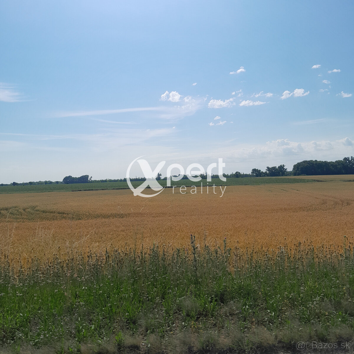 Predaj orná pôda 300.000m2 v katastri Malé Blahovo okres DS