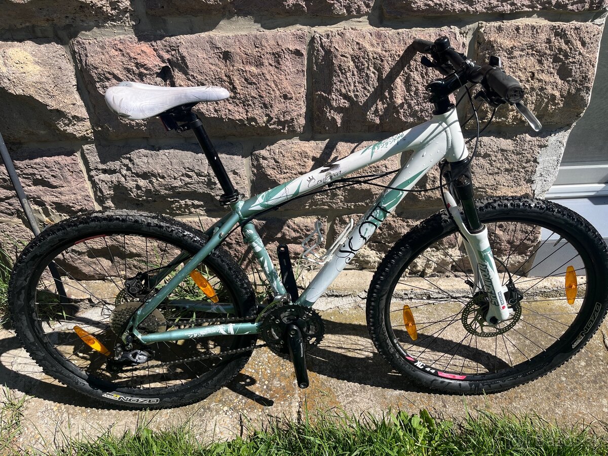 Scott contesa M(20)