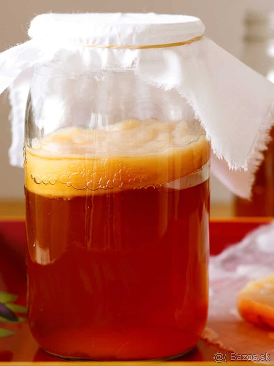 Predam čajovú hubu kombucha + nálev pre prípravu kombuchy