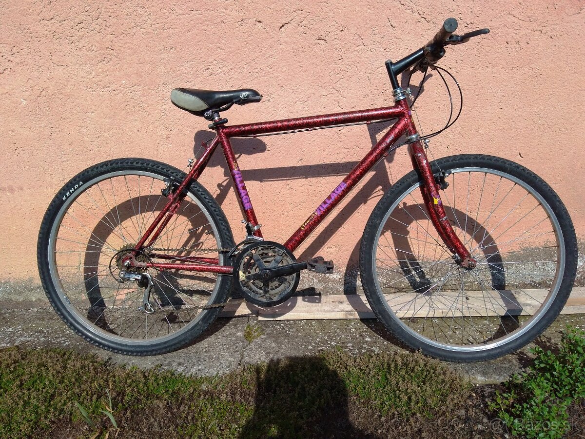 Bicykel pre každeho-výborný stav