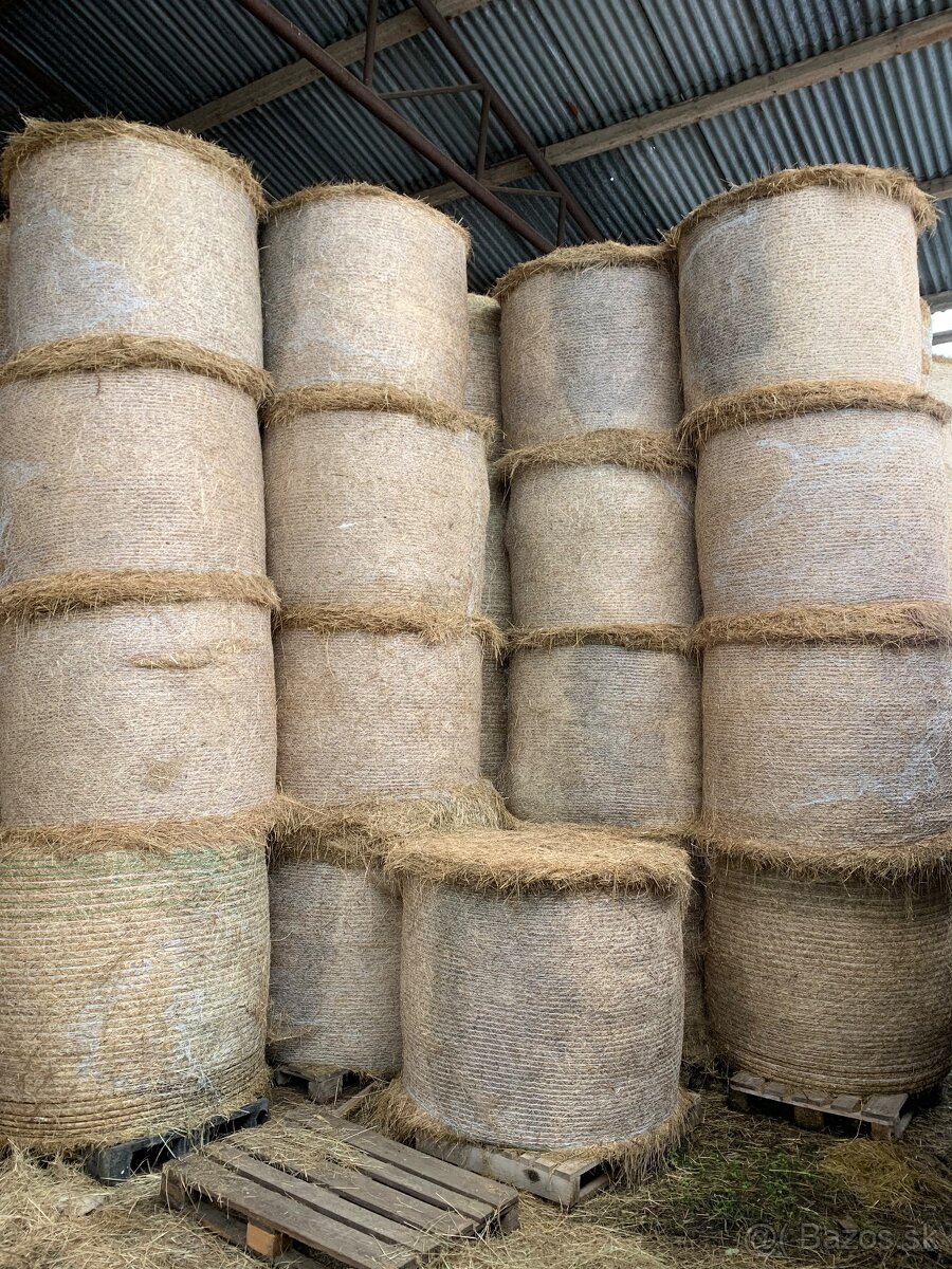 Predám seno, balíky 130x120- 300kg