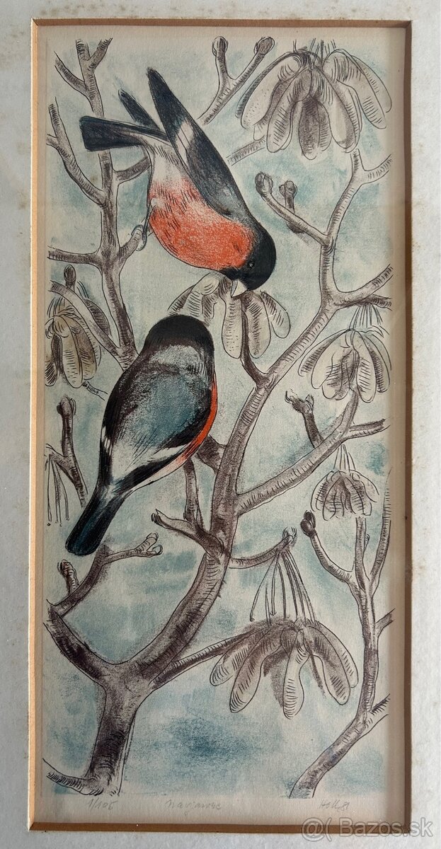 Grafika Anton Holly